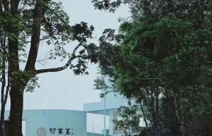非常茗“少年茶人”暑期招募中，探寻茶马古道品地道普洱茶